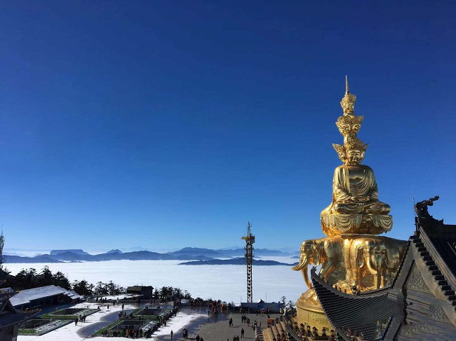 微信图片_201910181519473.jpg